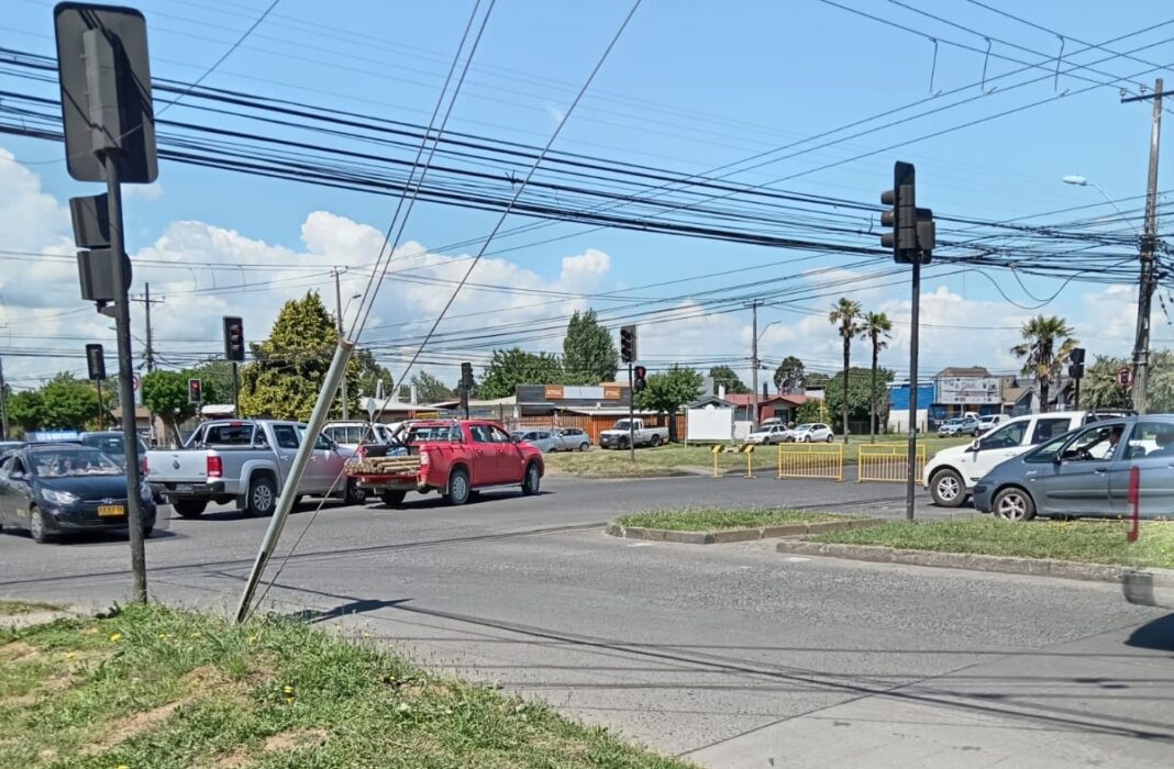 WhatsApp Image 2023-12-20 at 16.23.15