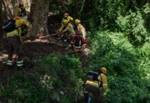 Realizan limpieza en área verde de Kolbe Alto para prevenir incendios forestales