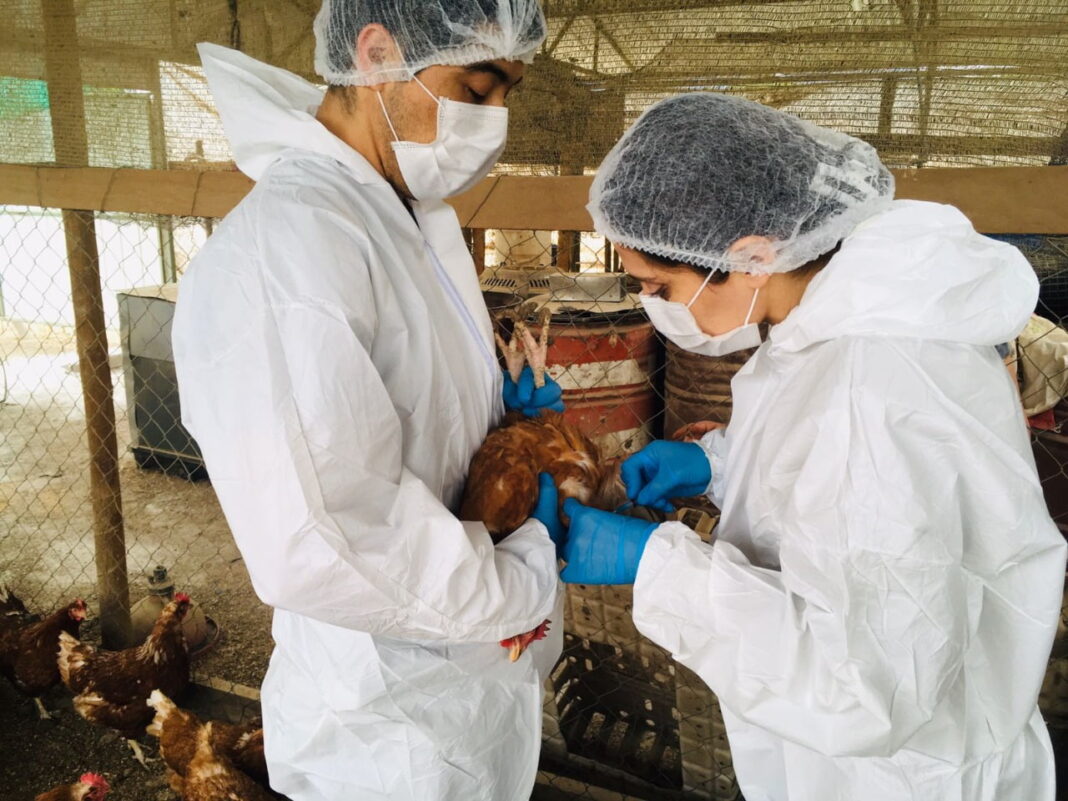 WhatsApp-Image-2022-12-02-at-10.52.12-AM