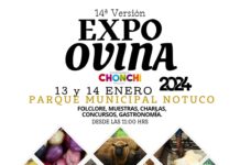 Expo Ovina de Chonchi se realiza el 13 y 14 de enero.