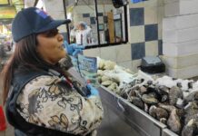 Refuerzan llamado a la correcta captura, mantención y consumo de productos del mar