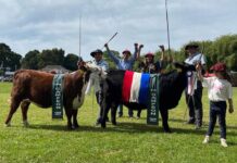 Ganaderos de la Patagonia rechazan iniciativa de Diputado trasandino