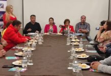 Puyehue anuncia actividades gratuitas para este verano 2024 con la presentación de artistas nacionales