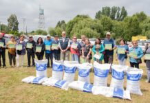 Más de mil familias de sectores rurales de Osorno reciben alimento para sus animales