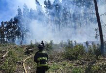 Conaf y Bomberos combaten incendio forestal en San Juan de la Costa