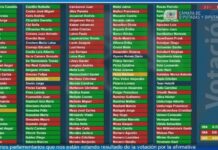 ¿Cómo votaron los diputados de la región de Los Lagos la idea de legislar la Reforma de Pensiones?