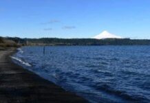 Prevención de accidentes y muertes por inmersión: Médico llama al autocuidado