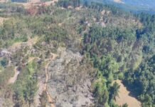 Más de 13 hectáreas han sido afectadas en incendio forestal en San Pablo