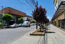 Hasta un 40% han disminuido las ventas en el Barrio Lynch de Osorno: temen cierre de locales