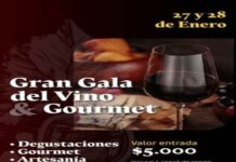 Este fin de semana será la Gala del Vino en el recinto SAGO con 17 viñas y productos afines