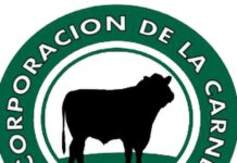 Brucelosis en Chile debería cambiar su status ante tan pocos casos