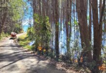 Avión Tanker se suma al combate incendio forestal en San Juan de la Costa: evacuan viviendas cercanas