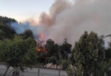 Actualizan afectación del incendio forestal en Purrehuín: 192 hectáreas de vegetación y bosques quemados