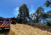 Decretan Alerta Amarilla en la comuna de Purranque por incendio forestal en sector El Manzano