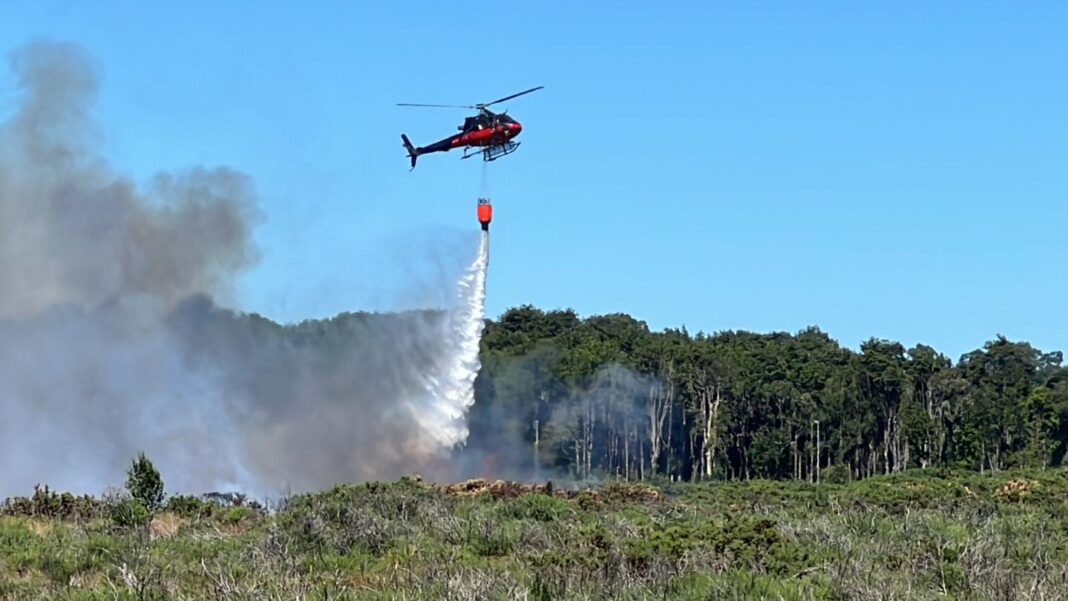 428670763_793378566157657_7370878731228432988_n