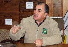 La papa esta con tendencia a la baja según Boletín de ODEPA