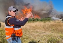 Incendios forestales: Alerta Roja para Puerto Montt y Queilen, y Alerta Amarilla para San Pablo y San Juan de la Costa