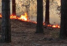 Más de 2.200 hectáreas fueron afectadas por el fuego en la temporada pasada en la provincia de Osorno