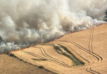 SAGO A.G. colabora con el combate de incendios rurales en la provincia de Osorno