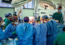 En el Día Mundial del Trasplante de Órganos llaman a conversar sobre la importancia de la donación