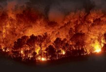 Confederación de la Producción y del Comercio(CPC) lamenta perdida de vidas en los incendios forestales