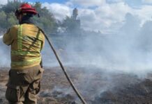 Más de 300 funcionarios de Conaf Los Lagos se preparan para la prevención y combate de incendios forestales