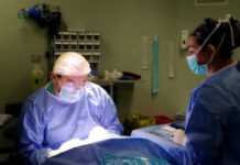 Hospital Puerto Montt confirma segundo procuramiento de órganos de este 2024