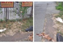 Luego de viralizarse denuncia por redes sociales descartan que presencia de cueros de animal sean de perro