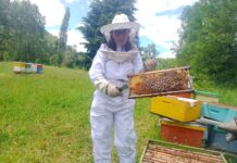 Apicultores orgánicos de Chile se integró a Cooperativas del Sur