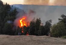 Incendio forestal destruye dos casas en San Juan de la Costa
