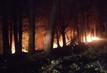 Reactivación de focos y problemas de visibilidad complicaron combate de incendio forestal en Purrehuín