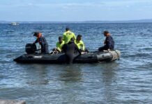 Bombero que rescató el cuerpo de Sebastián Piñera cuenta detalles de la hazaña