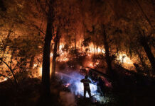 Gobierno anuncia ayuda estatal de hasta $10 millones para mipymes afectadas por incendios forestales