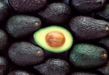 Consumo de palta llega a niveles récord en Chile: más de 8 kilos por persona al año