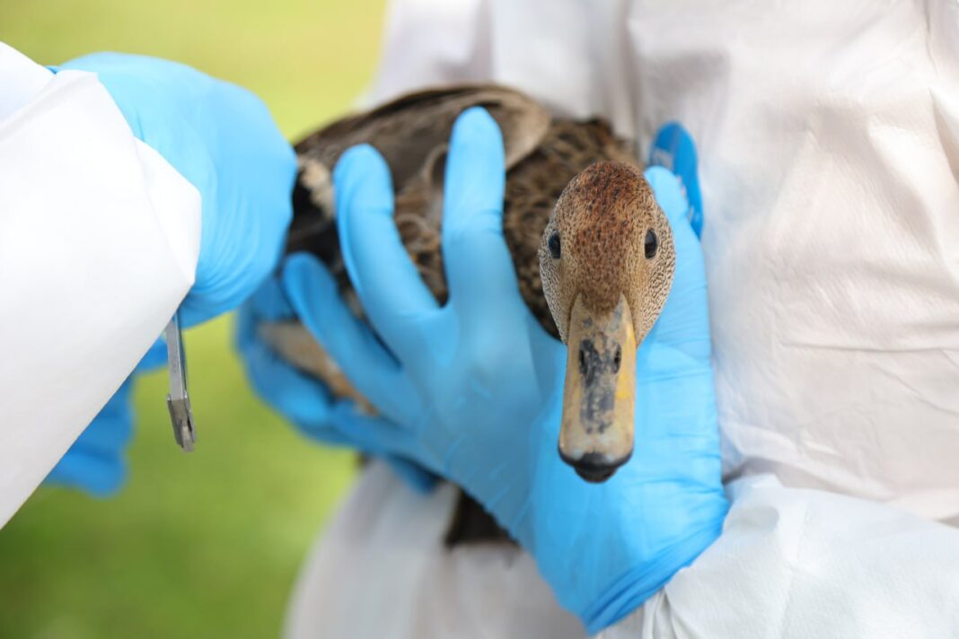 photo_5075809943055084463_y