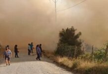 Incendio forestal en San Juan de la Costa obligó la evacuación preventiva del sector
