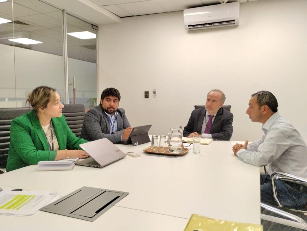 TREN PARA FRUTILLAR - REUNION