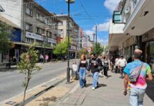 Preocupa masificación de mall chinos en Osorno: Cámara de Comercio exige mayor fiscalización