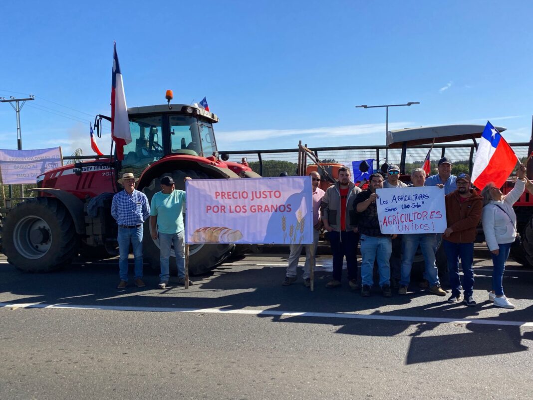 WhatsApp Image 2024-03-07 at 12.30.18