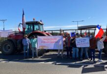 Agricultores unidos protestan en Talca, con apoyo de la Araucanía