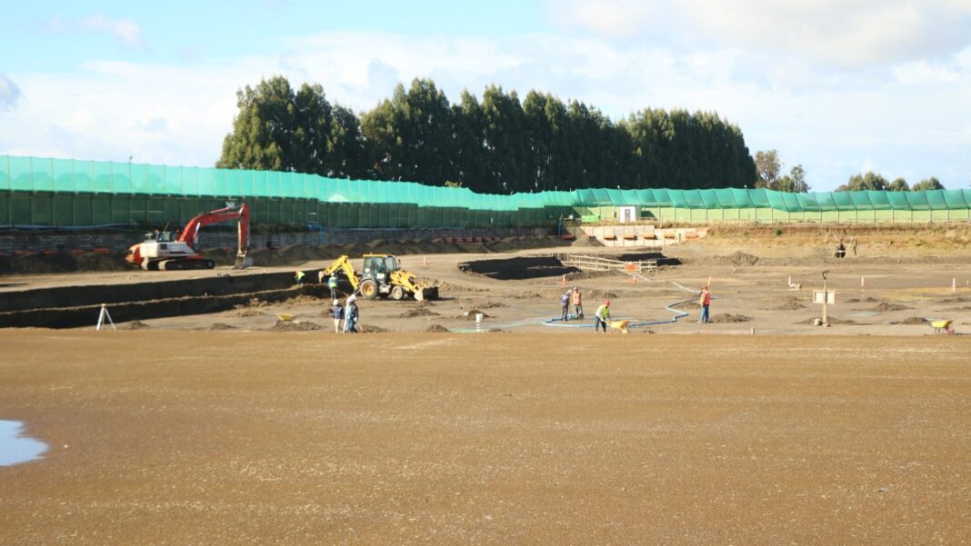 WhatsApp Image 2024-03-20 at 16.54.52