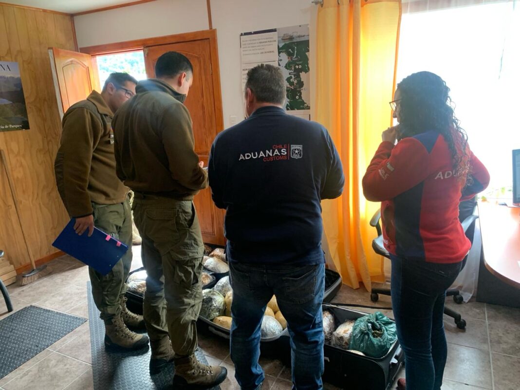 WhatsApp Image 2024-03-26 at 6.03.45 PM-3