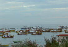 Carelmapu rechaza petición de seis comunidades de quedarse con todo el borde costero