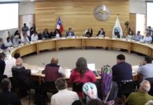 Borde costero en Aysén: Trabajadores apuntan a mal manejo de gobernadora regional e intervención extranjera