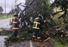 Vientos superaron los 120 kilómetros por hora la región de Los Lagos: se registran daños menores a viviendas