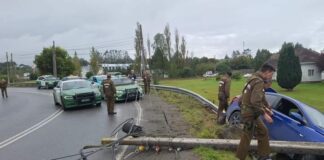 Carabineros detiene a tres sujetos en Puerto Varas que se dedicaban a robar especies desde vehículos estacionados
