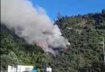 Identificados, pero aún no detenidos: Fiscalía de Los Ríos ya estableció quiénes serían los dos responsables de incendio forestal en Niebla