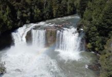 Descubrimientos, abundante biodiversidad e hitos históricos: Parque Nacional Puyehue celebra 83 años