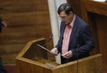 Rechazan proyecto que declaraba a los perros asilvestrados como especie exótica invasora