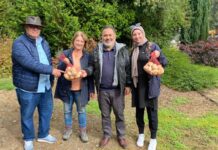 El mercado de Argelia, incluso Francia o Dubái, podría abrirse para la carne y otros productos de la zona